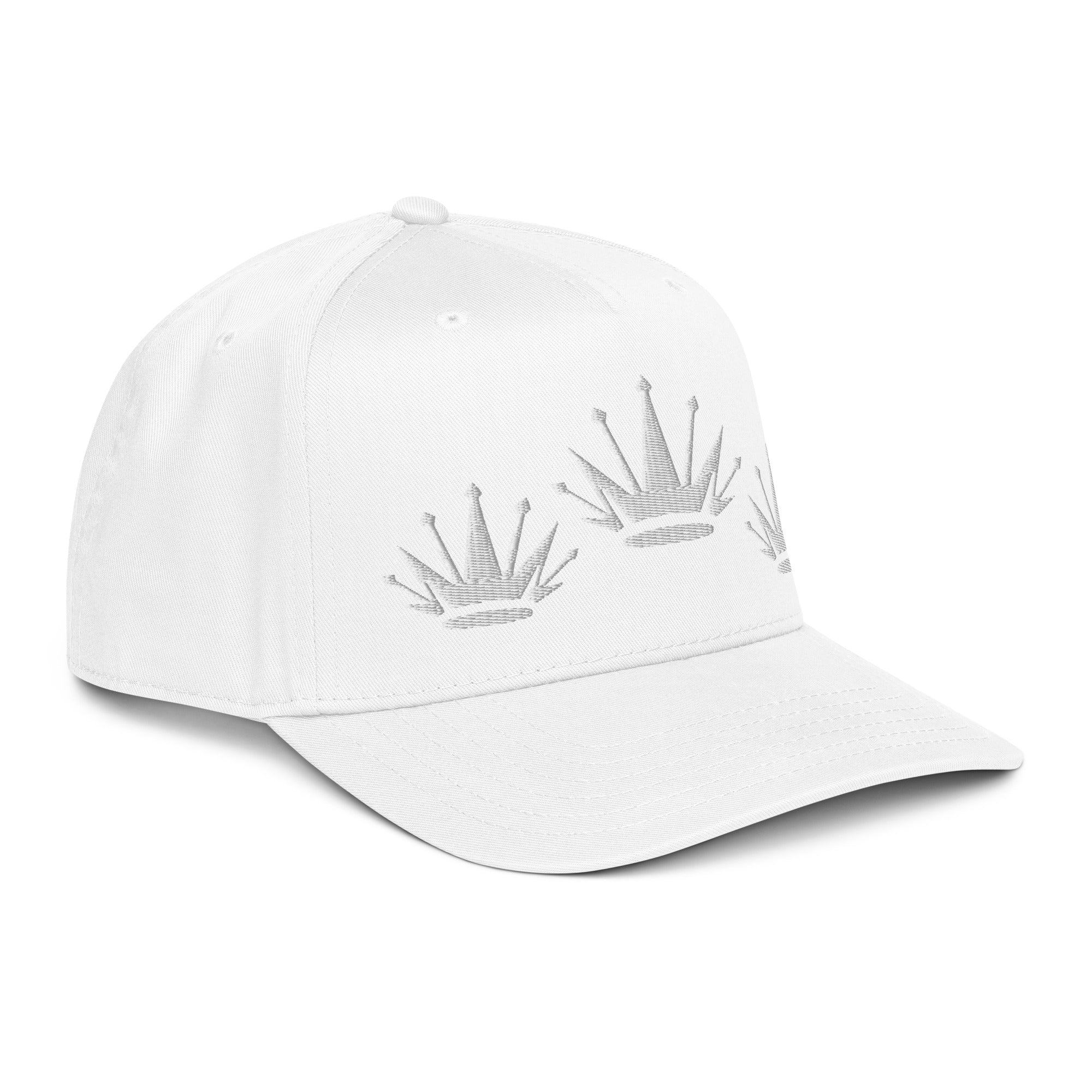 5 panel cap – Millionaire Plans